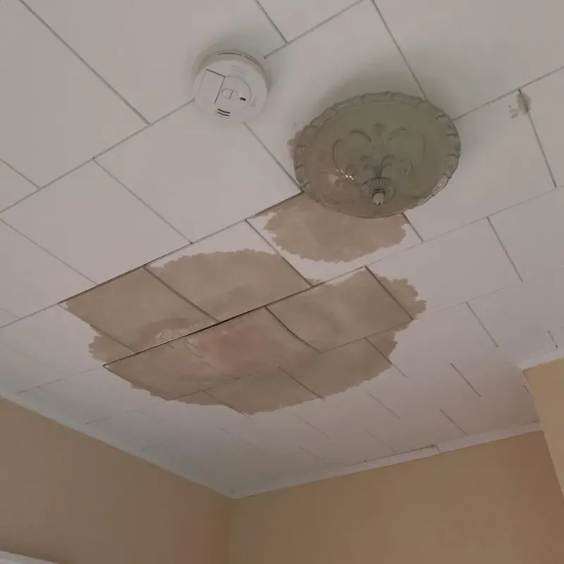 Ceiling Water Damage Repair in Wingate, NC
