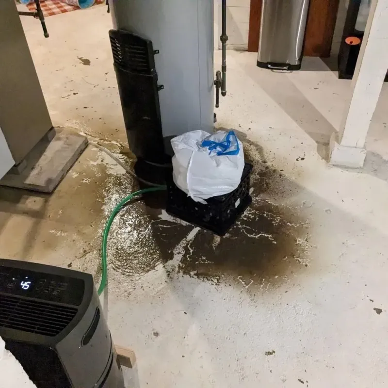 Sewage Backup Cleanup Service in Wingate, NC